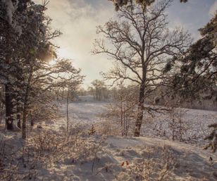 Vårdnäs-vinter-landskapet